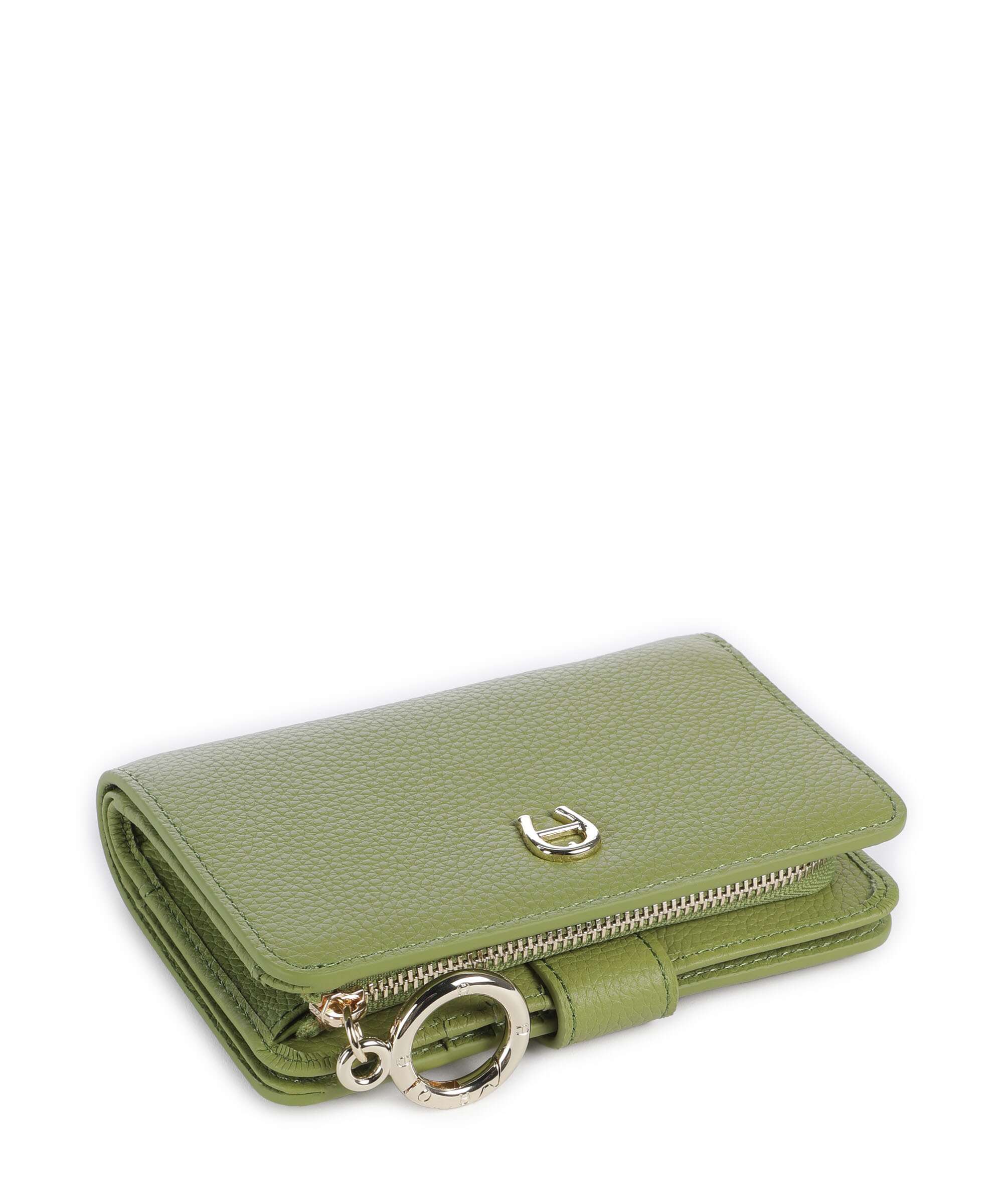 Aigner Zita Wallet pistachio green