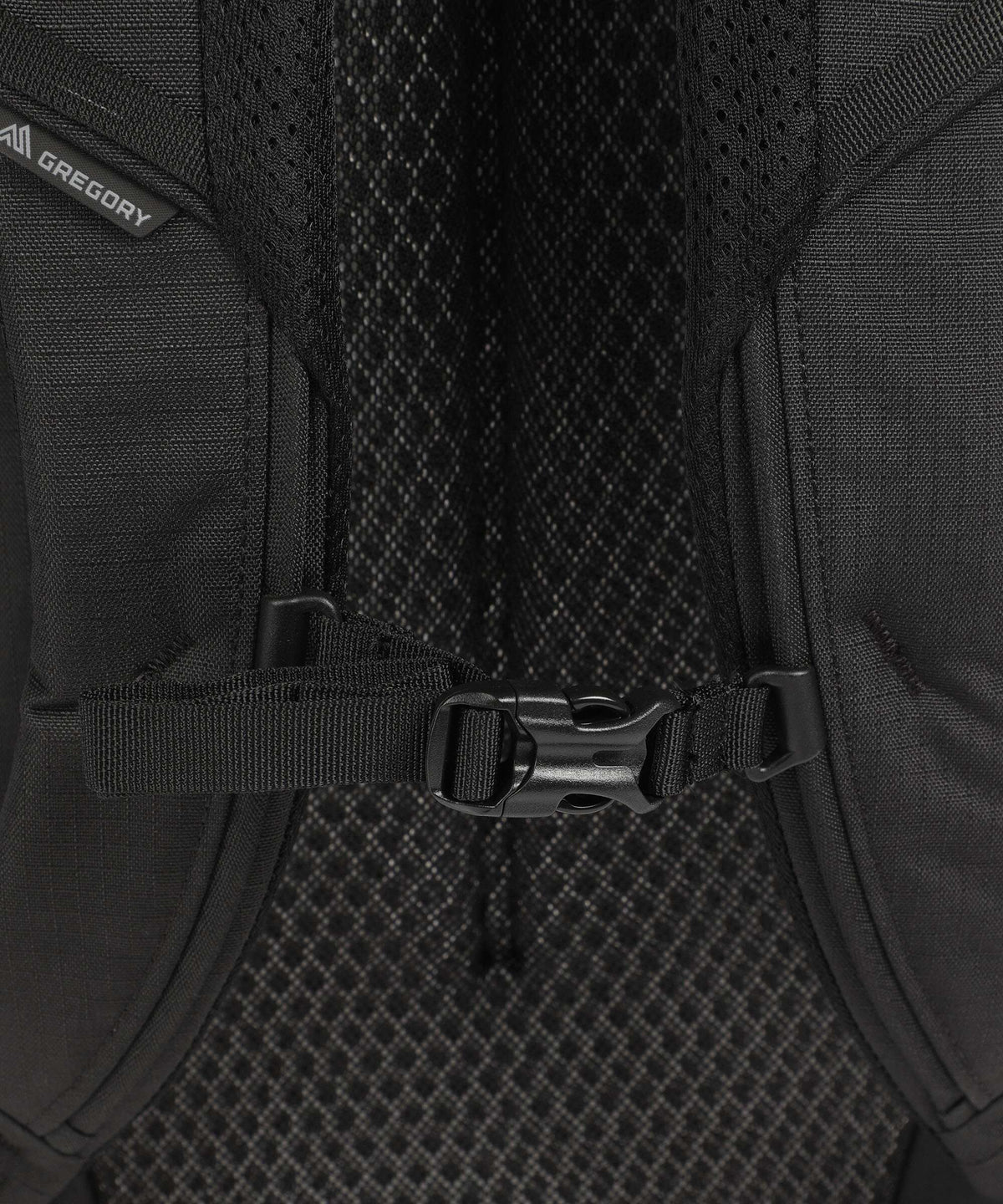 Gregory Border 30 Travel backpack black lichen