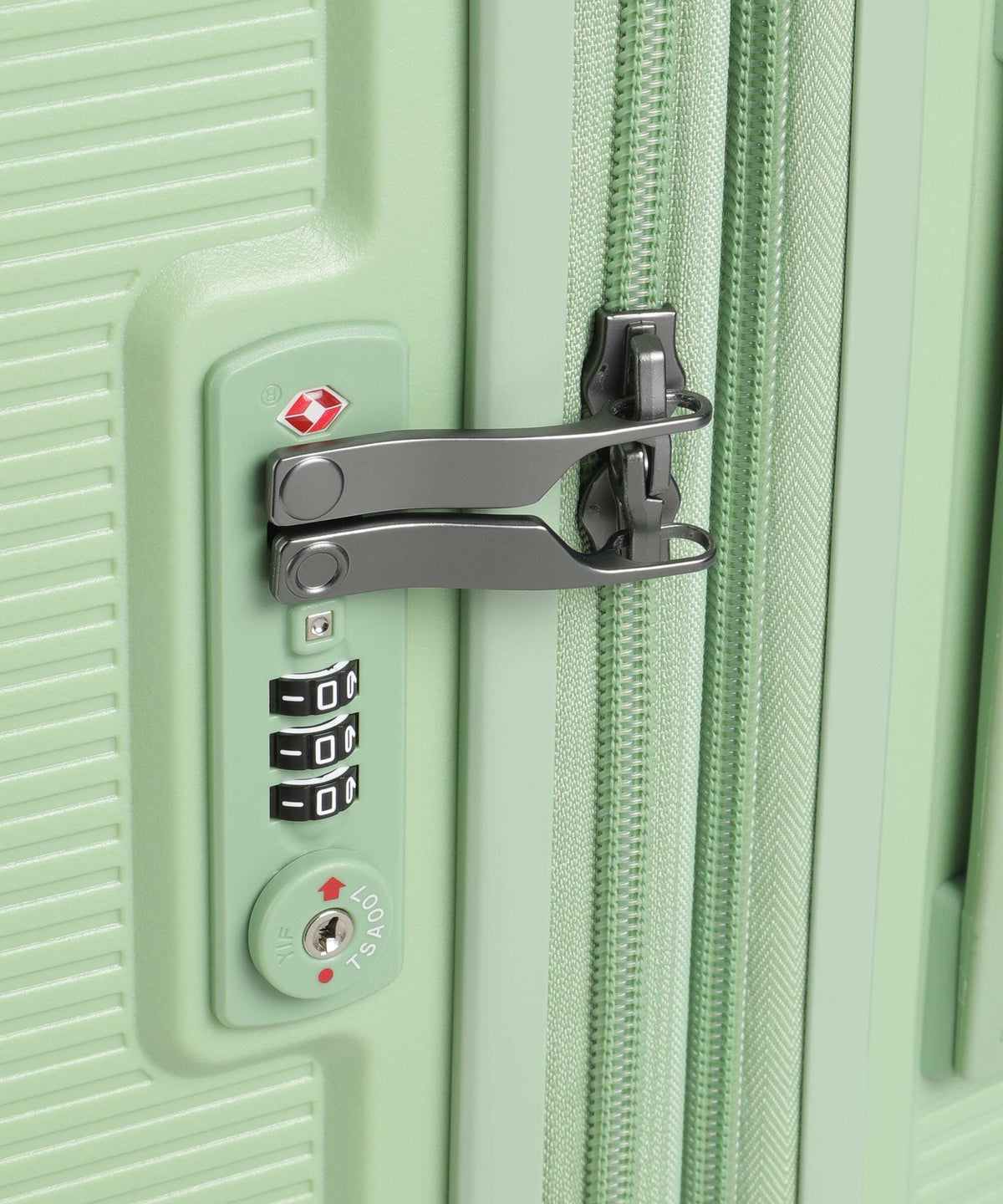 Echolac Forza L Spinner (4 wheels) reef green