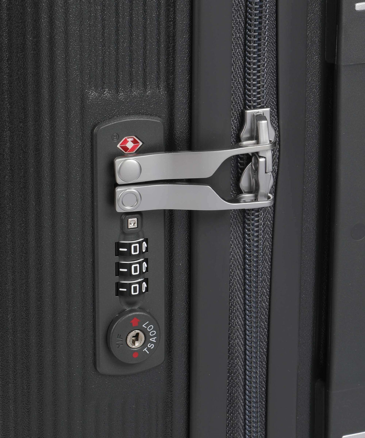 Echolac Dynasty S Spinner (4 wheels) dark grey