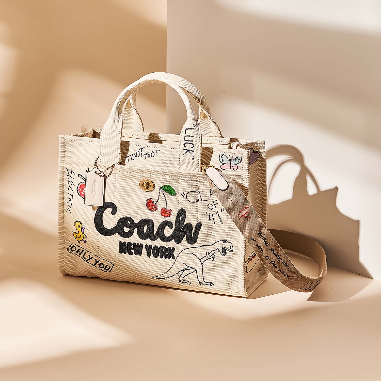 Coach Handbags