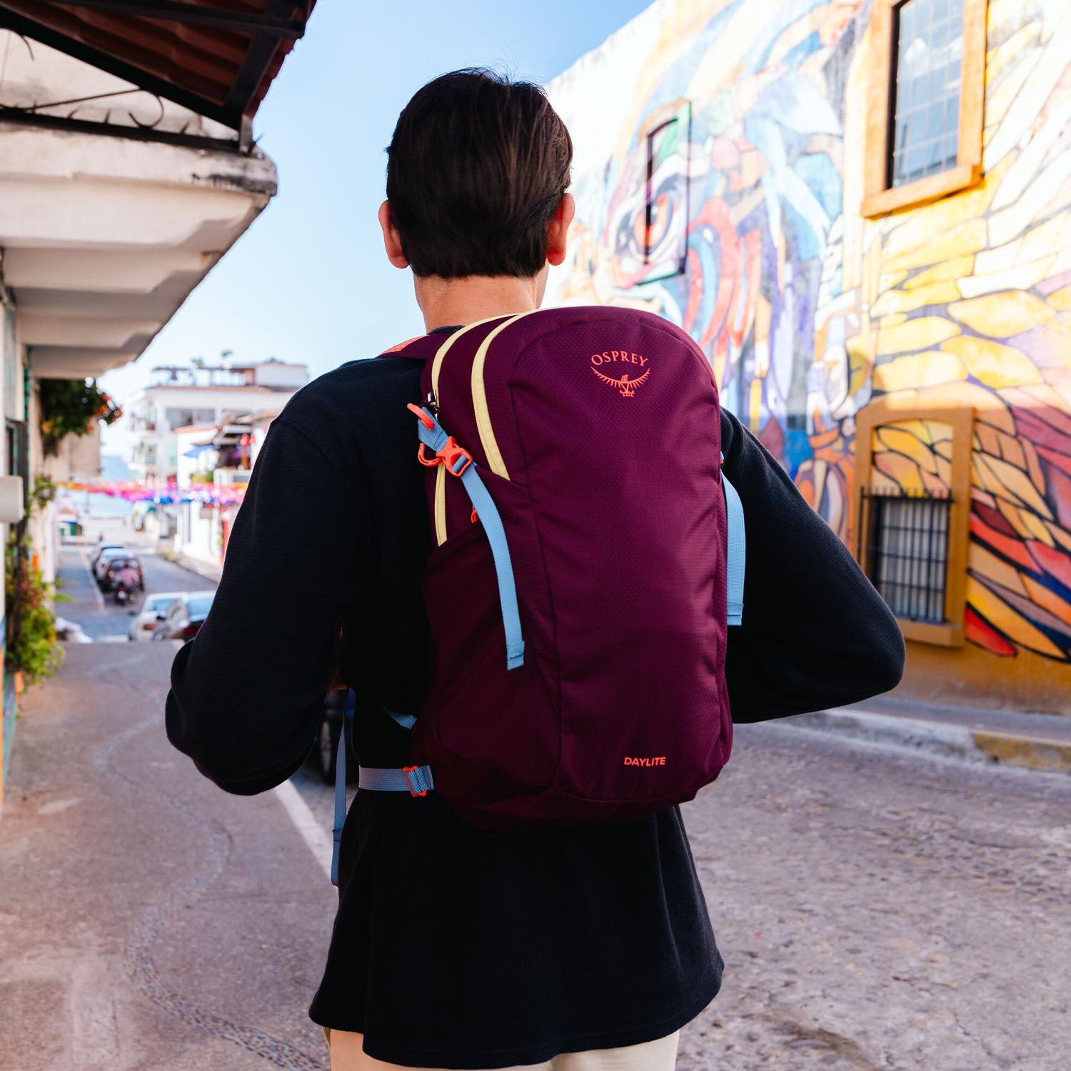Osprey Daylite