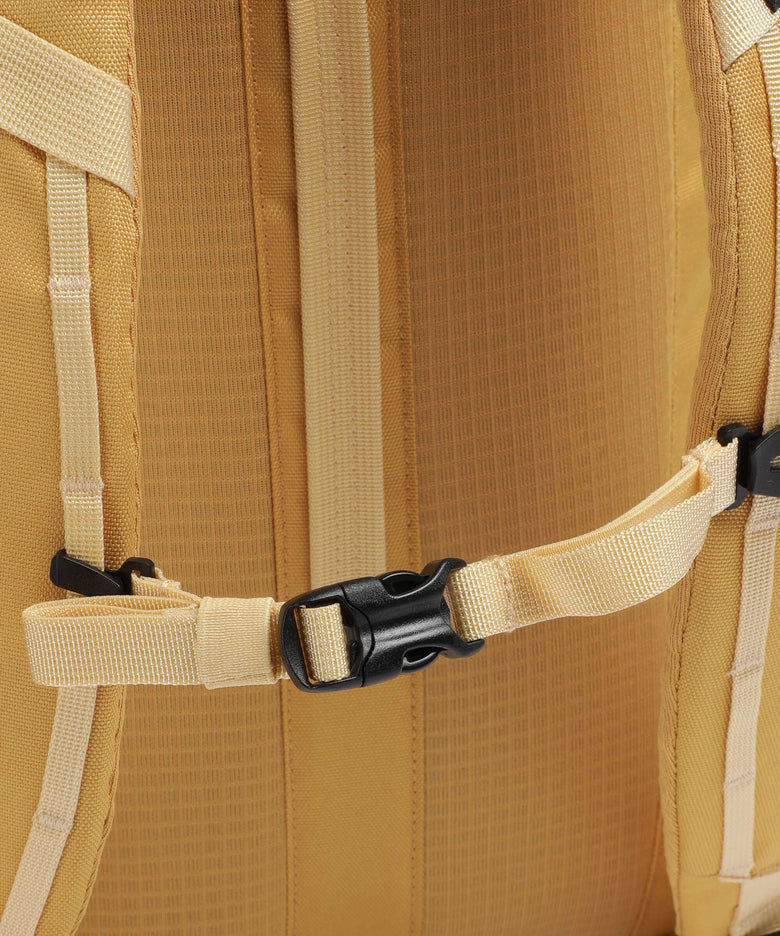 Patagonia Black Hole 25 Backpack pufferfish gold/beeswax tan