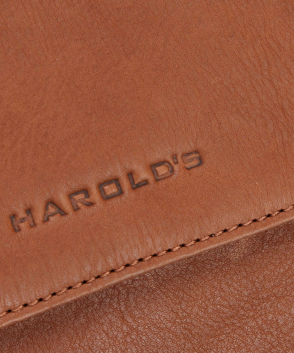 Harold's Ivy lane Briefcase cognac