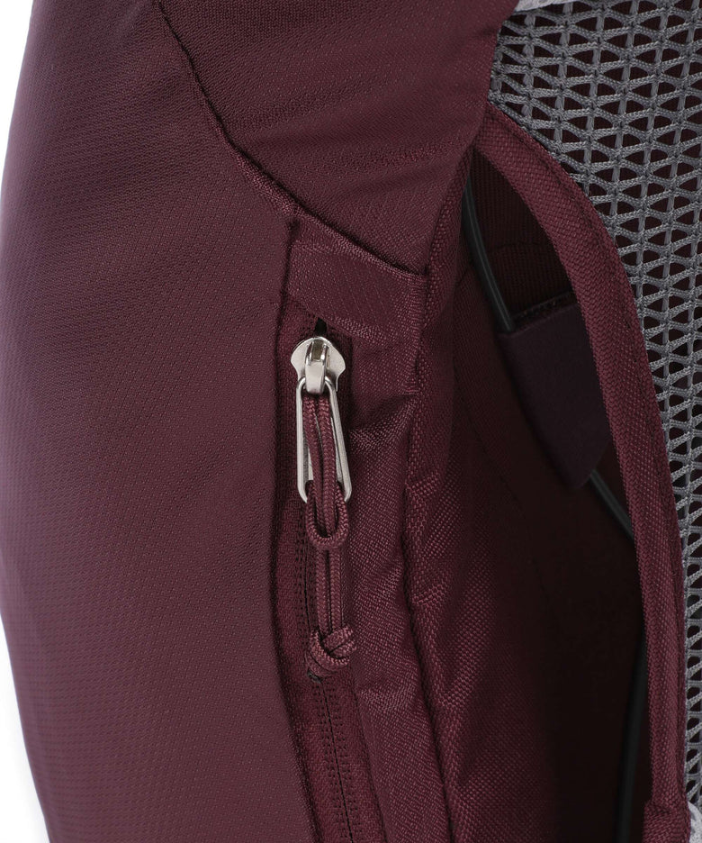 Deuter AC Lite 22 SL Hiking backpack ashrose/cassis