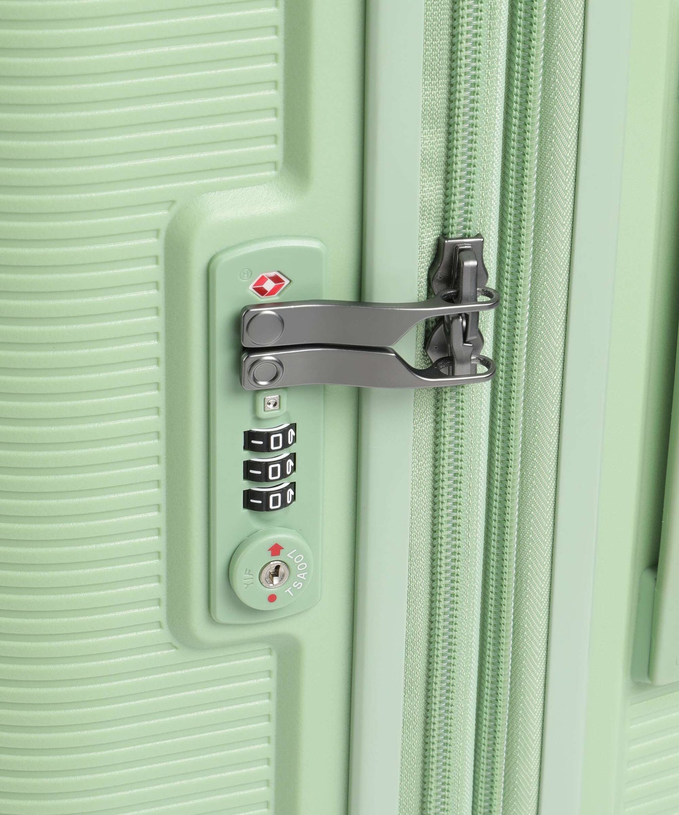 Echolac Forza M Spinner (4 wheels) reef green