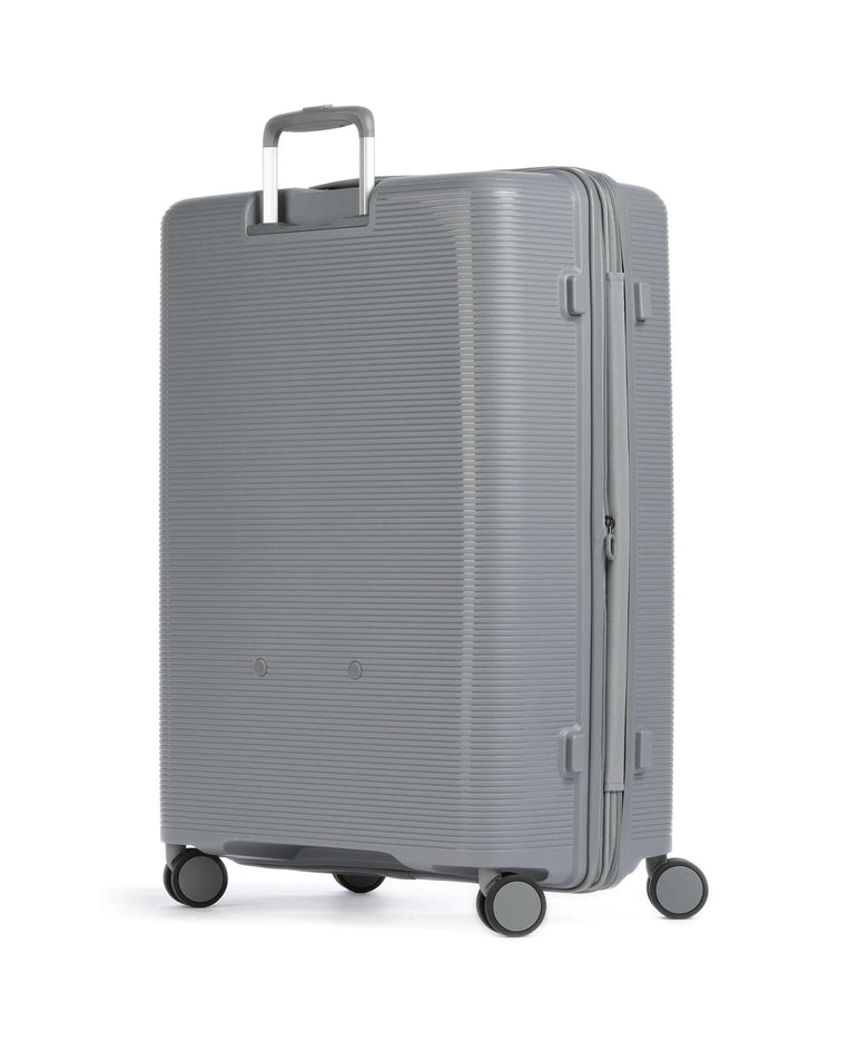 Echolac Forza L Spinner (4 wheels) arctic grey