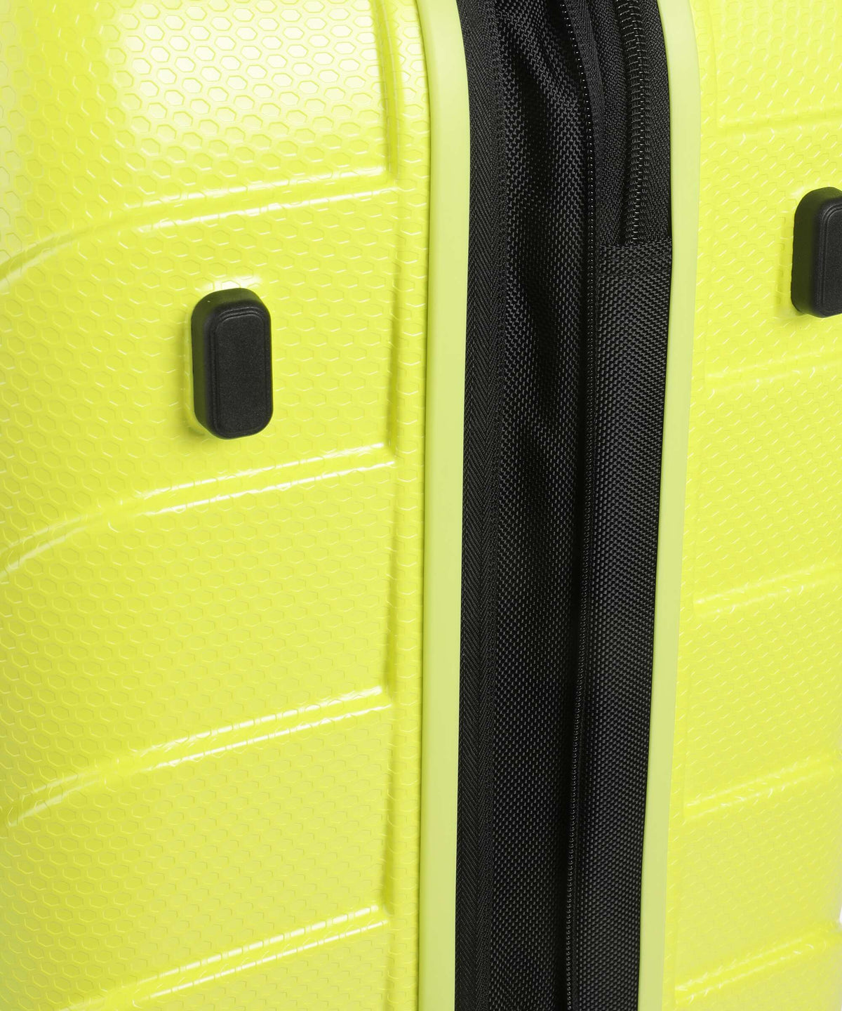 Echolac EXO L Spinner (4 wheels) cyber lime