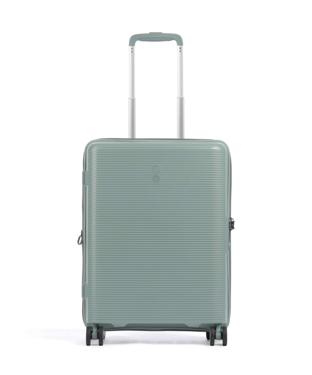 Echolac Forza S Spinner (4 wheels) sage leaf