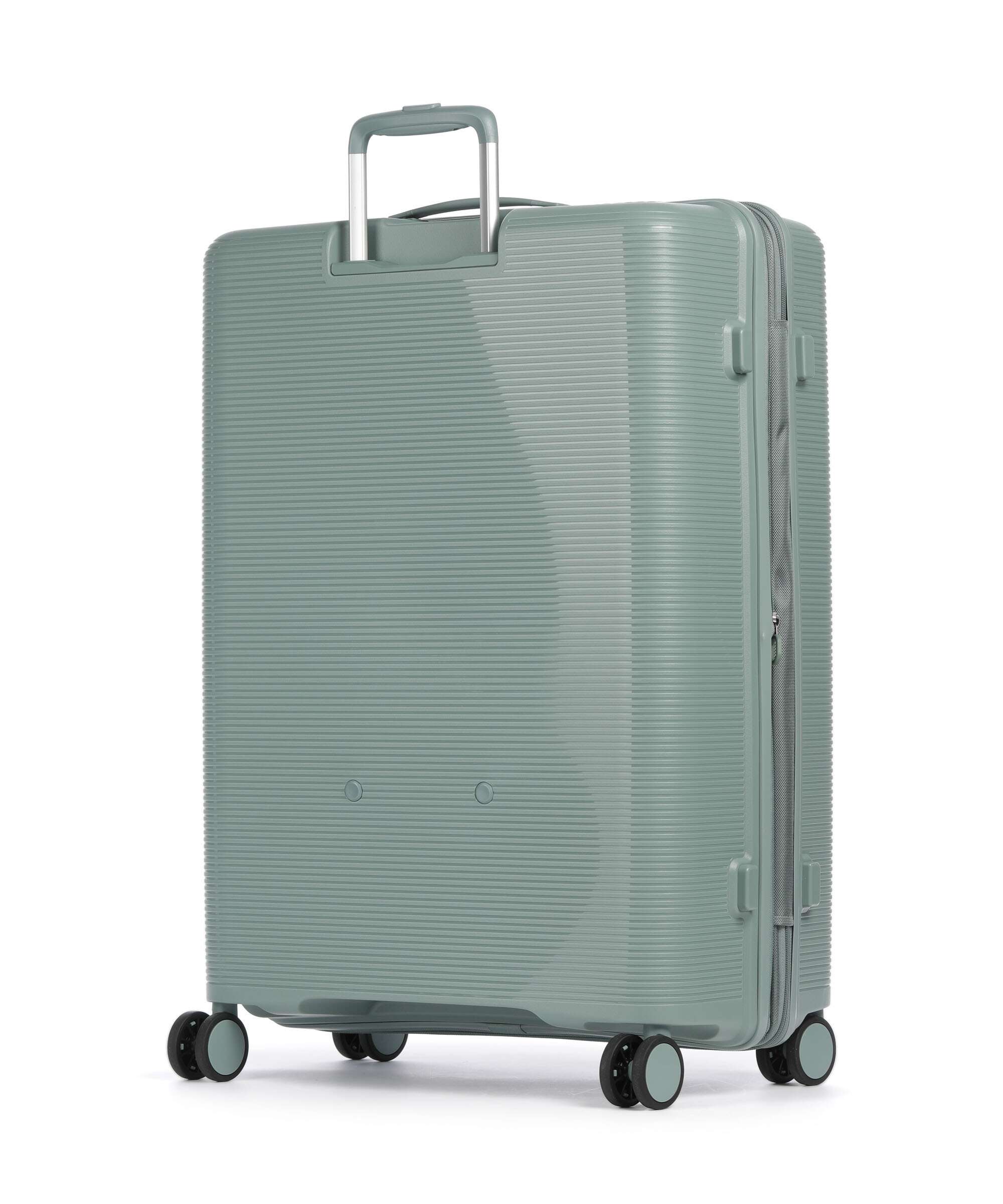 Echolac Forza L Spinner (4 wheels) sage leaf