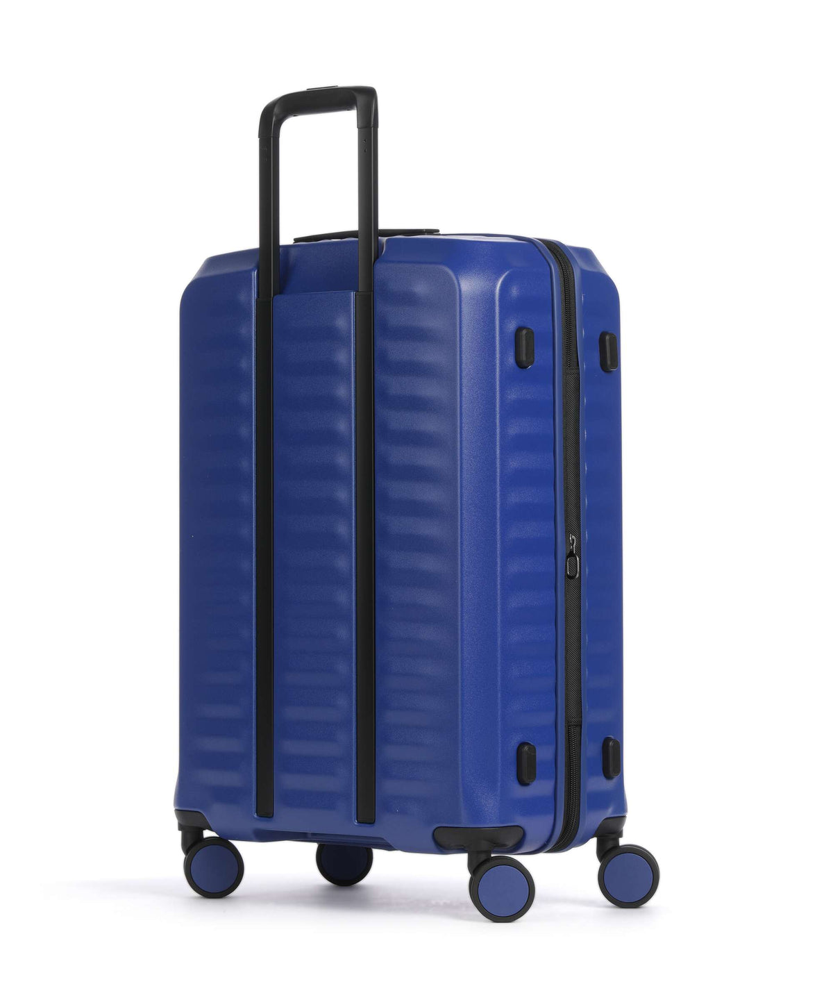 Echolac Oxygen M Spinner (4 wheels) blue