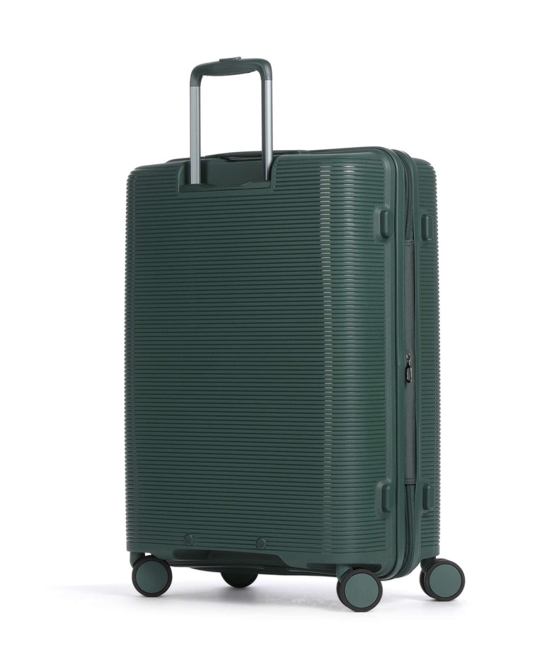 Echolac Forza M Spinner (4 wheels) pine green