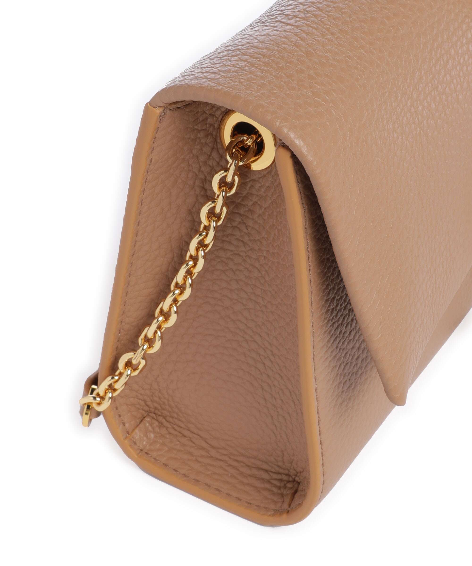 Coccinelle Dorian Crossbody bag skin