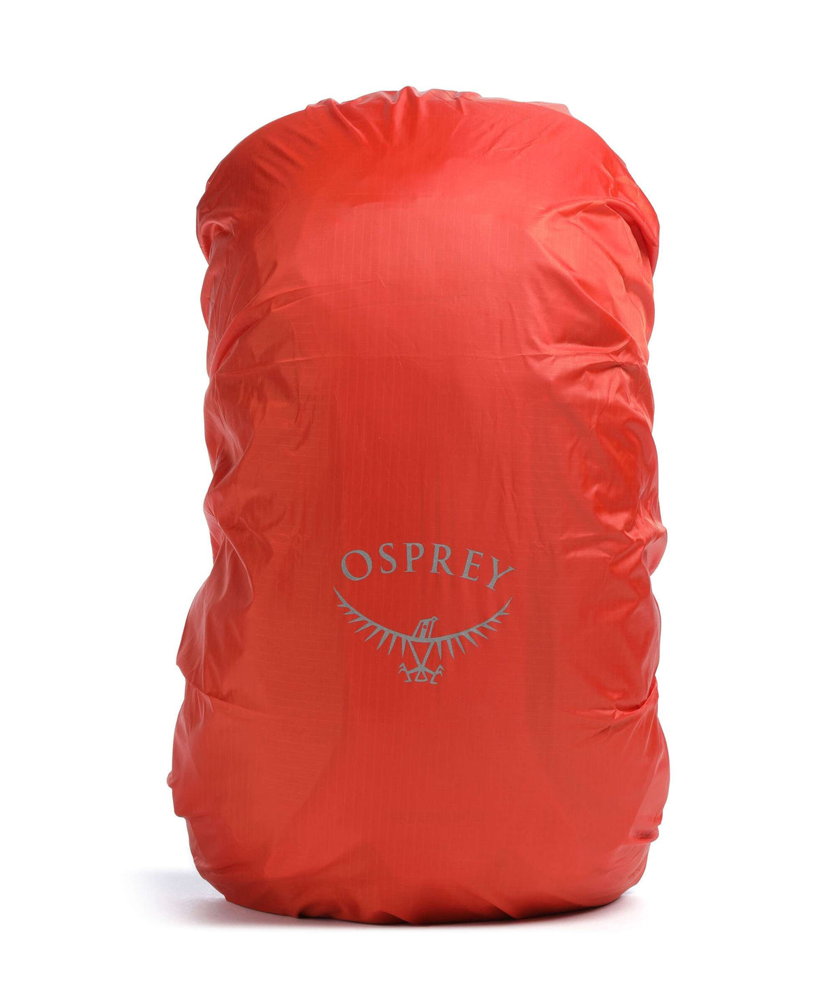 Osprey Hikelite 22 Hiking backpack silver lining
