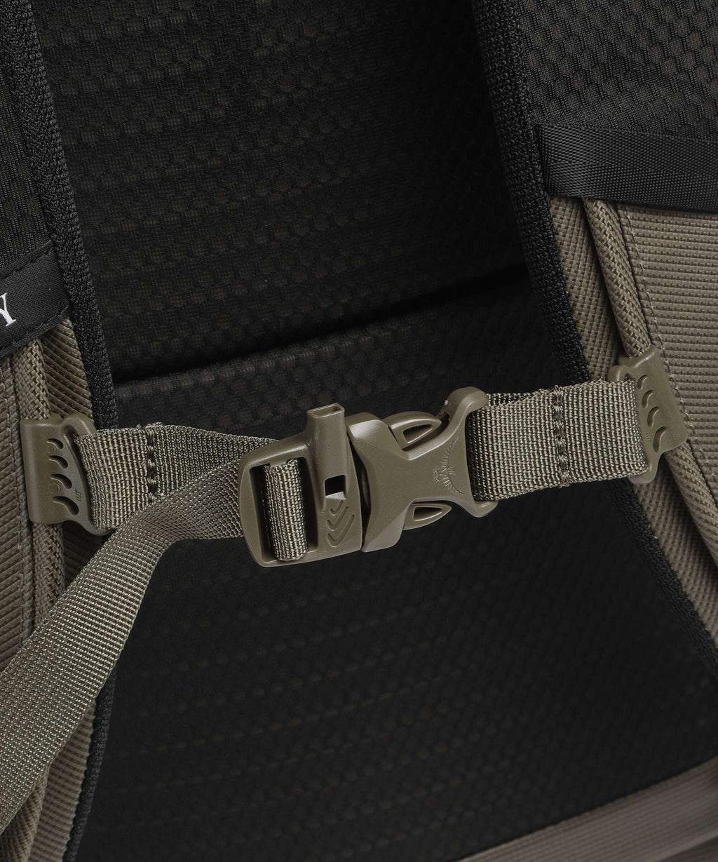 Osprey Transporter Panel Backpack pine leaf