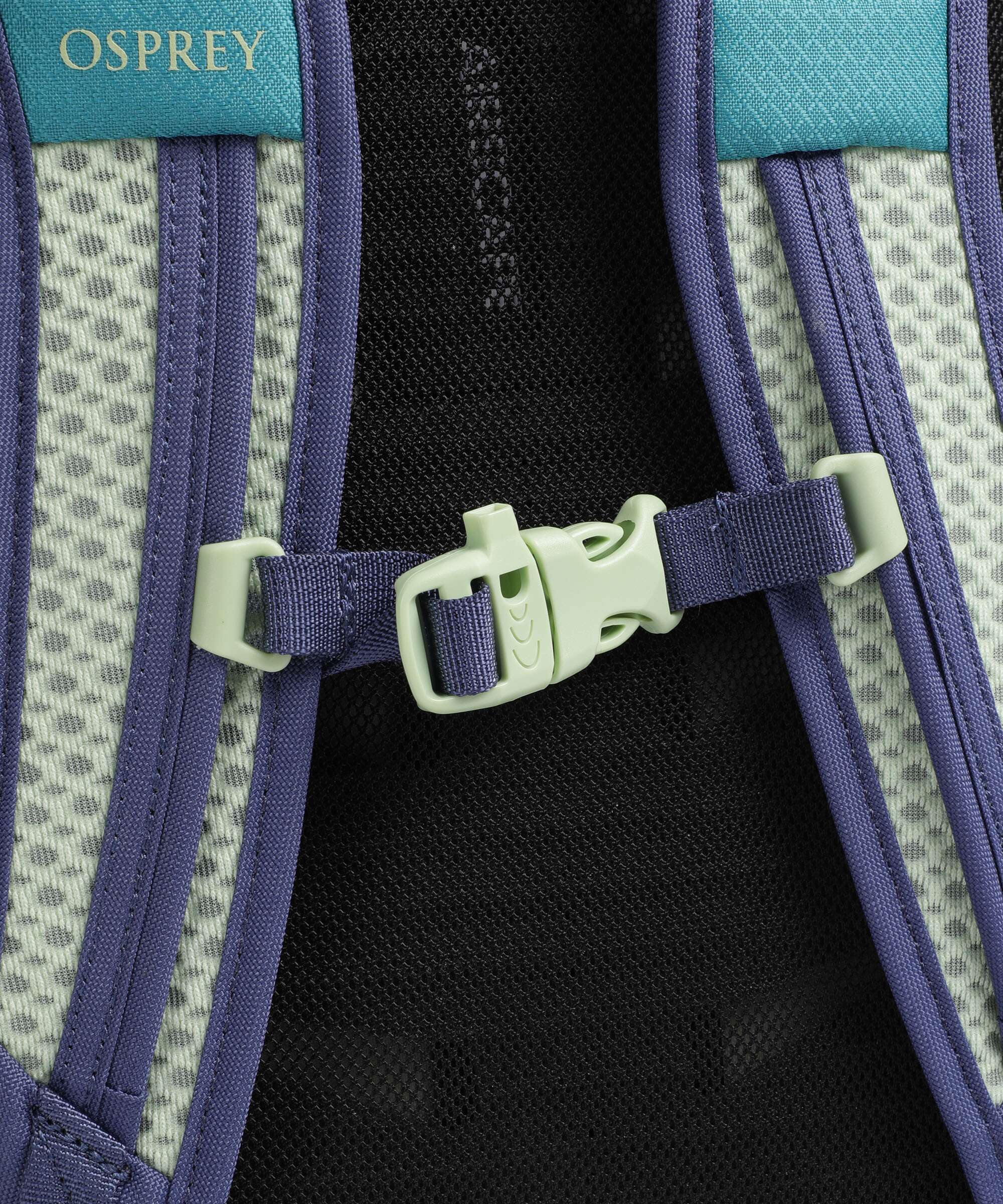 Osprey Daylite Plus Backpack blue spikemoss/alkaline