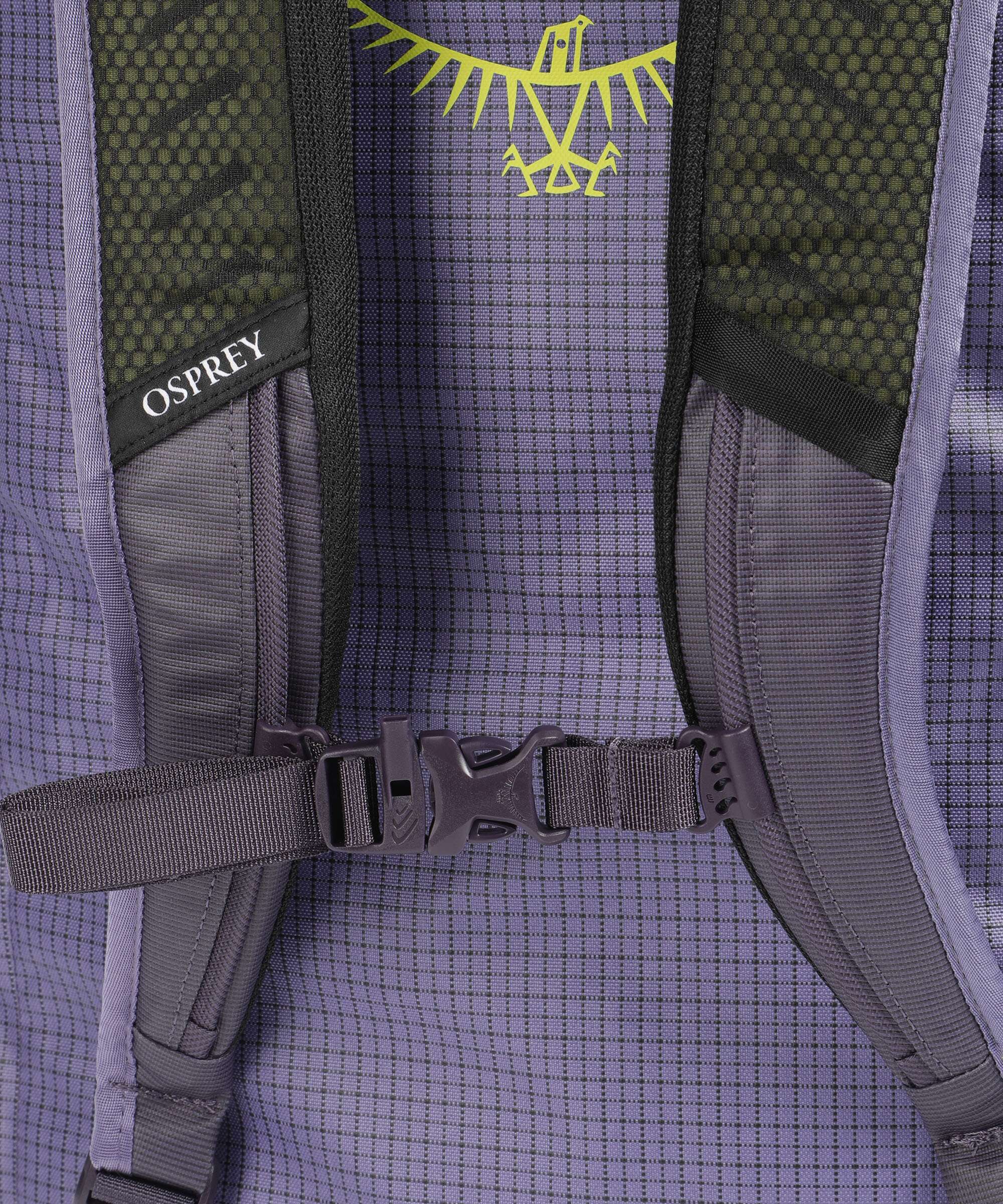 Osprey Transporter 65 Travel backpack euphoria purple/purple ink