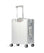 Aleon Domestic Carry-On Spinner (4 wheels) platinum